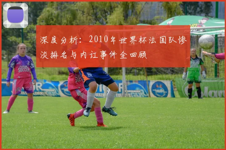 深度分析：2010年世界杯法国队惨淡排名与内讧事件全回顾