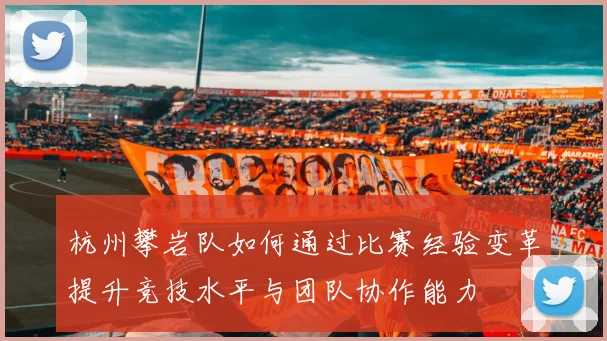 杭州攀岩队如何通过比赛经验变革提升竞技水平与团队协作能力