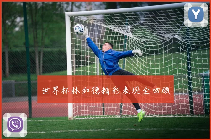 世界杯林加德精彩表现全回顾