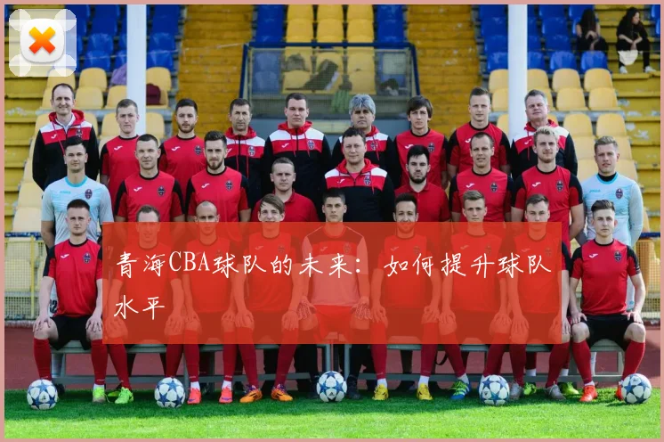 青海CBA球队的未来：如何提升球队水平