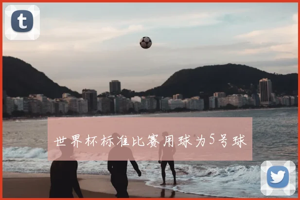 世界杯标准比赛用球为5号球