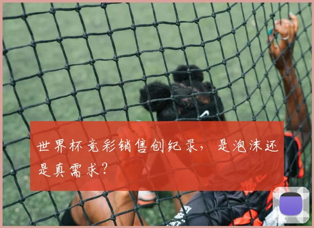 世界杯竞彩销售创纪录，是泡沫还是真需求？