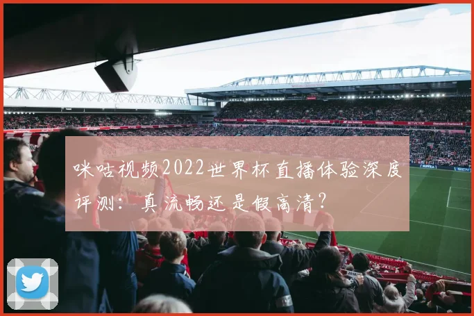 咪咕视频2022世界杯直播体验深度评测:真流畅还是假高清?