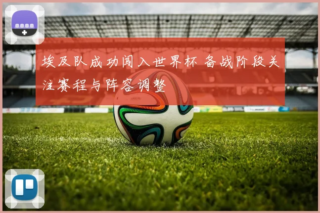 埃及队成功闯入世界杯 备战阶段关注赛程与阵容调整