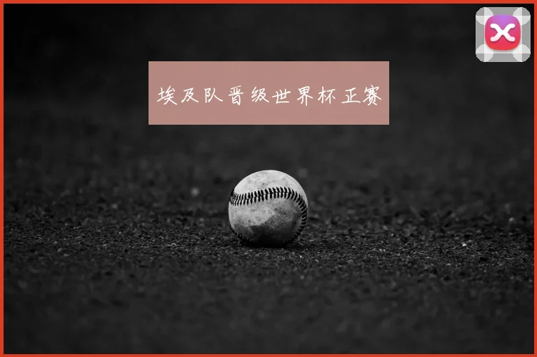 埃及队晋级世界杯正赛