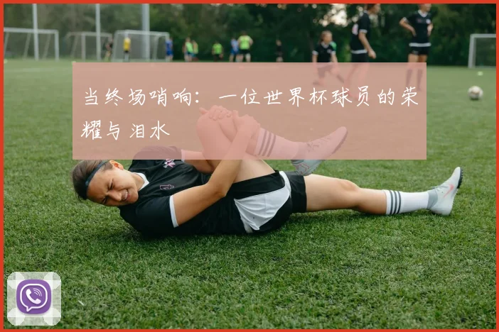 当终场哨响：一位世界杯球员的荣耀与泪水