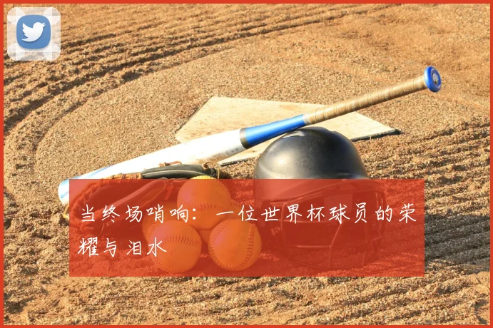 当终场哨响：一位世界杯球员的荣耀与泪水
