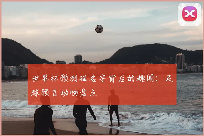 世界杯预测猫名字背后的趣闻：足球预言动物盘点