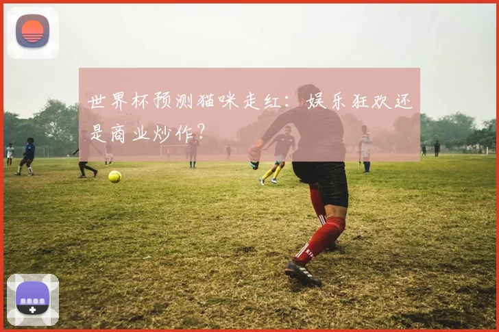 世界杯预测猫咪走红：娱乐狂欢还是商业炒作？