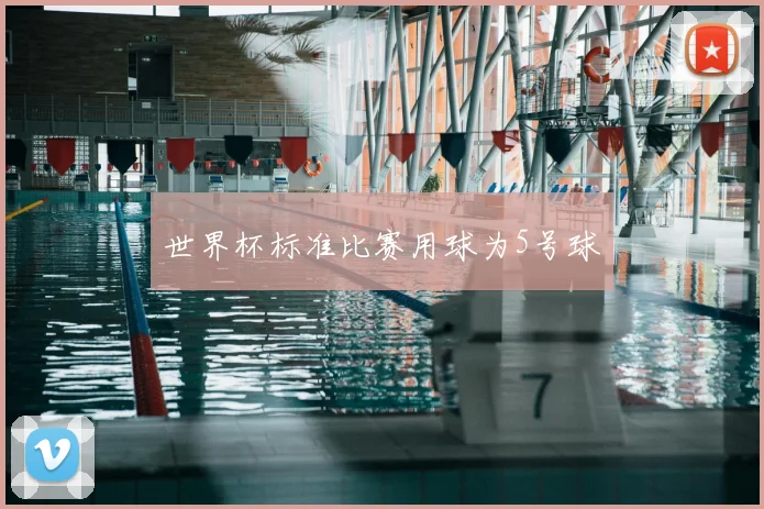 世界杯标准比赛用球为5号球