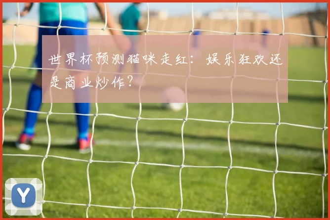 世界杯预测猫咪走红：娱乐狂欢还是商业炒作？